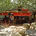 DSC07743.JPG
