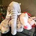 DSC08462.JPG
