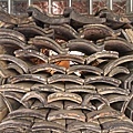 DSC08360.JPG
