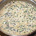 DSC04559.JPG