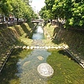 DSC06438.JPG