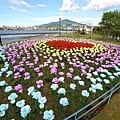 DSC02513.JPG