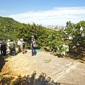 DSC01772.JPG