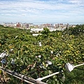 DSC01796.JPG