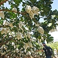 DSC01790.JPG