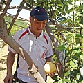 DSC01960.JPG