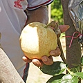 DSC01962.JPG