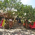 DSC02014.JPG
