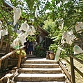 DSC02017.JPG