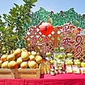 DSC02211.JPG