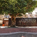 DSC05152.JPG