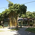 DSC01299.JPG