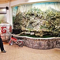 DSC01553.JPG
