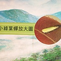 DSC01567.JPG
