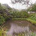 DSC05248.JPG