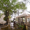 DSC04753.JPG