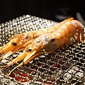 DSC04574.JPG
