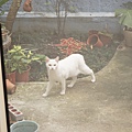 DSC01103.JPG
