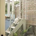 DSC01105.JPG