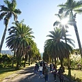DSC03491.JPG