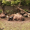 DSC07187.JPG