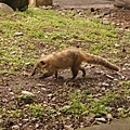 DSC07197.JPG