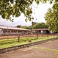DSC07506.JPG