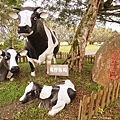 DSC07519.JPG