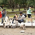 DSC02288.JPG