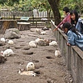DSC02448.JPG