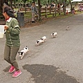 DSC02457.JPG