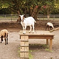 DSC07047.JPG