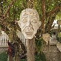DSC08600.JPG