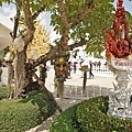 DSC09047.JPG
