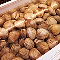 DSC04701.JPG