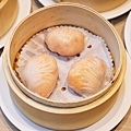 DSC07695.JPG
