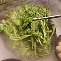 DSC00505.JPG