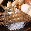 DSC00667.JPG