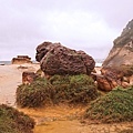DSC06581.JPG