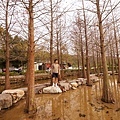 DSC03450.JPG