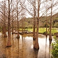 DSC03424.JPG