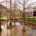 DSC02852.JPG