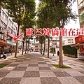 DSC07904a.jpg