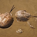 DSC00342.JPG