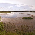 DSC00869.JPG