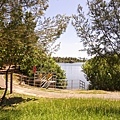 DSC09865.JPG