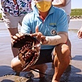 DSC00268.JPG