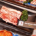DSC04042.JPG
