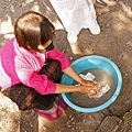 DSC00412.JPG