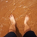 DSC08414.JPG
